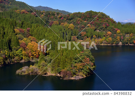 蜂巢湖秋葉 84398832
