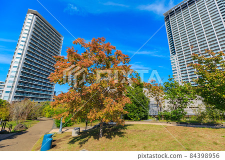 Meguro Sky Garden, Meguro-ku, Tokyo, Opus Yume Hiroba Meguro Sky Garden, Meguro-ku, Tokyo, Opus Yume Hiroba 84398956