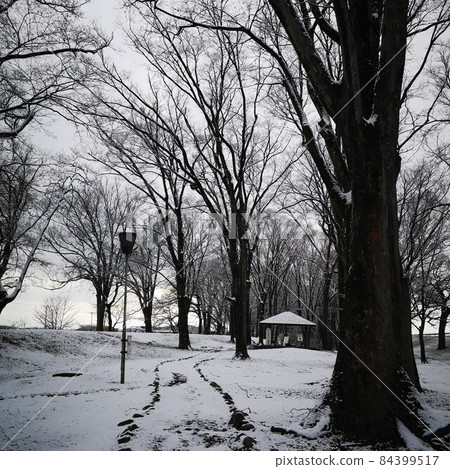 Park snow scene Park snow scene 84399517