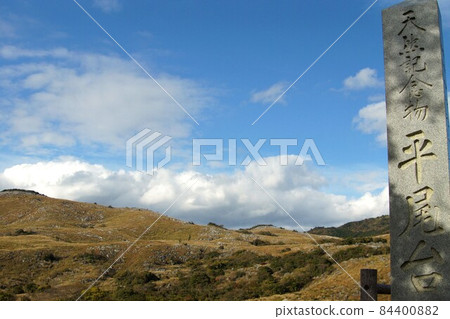 秋季“平尾台”喀斯特高原景觀，覆蓋著日本蒲葦耳和石灰岩 84400882