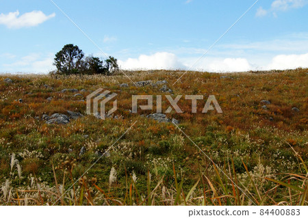 Autumn "Hiraodai" Landscape of karst plateau covered with Japanese pampas grass ears and limestone Autumn "Hiraodai" Landscape of karst plateau covered with Japanese pampas grass ears and limestone 84400883