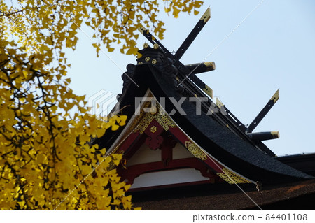 Autumn Kibitsu Shrine Ginkgo and main shrine 84401108