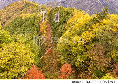 長野縣阿知村 被秋葉包裹的天堂園原纜車 84401894
