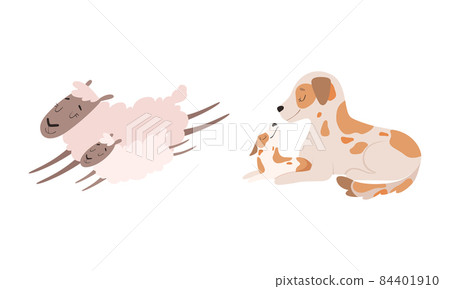 Mom Animal Cuddling with Its Little Cub as Parent Love and Care Vector Set 84401910