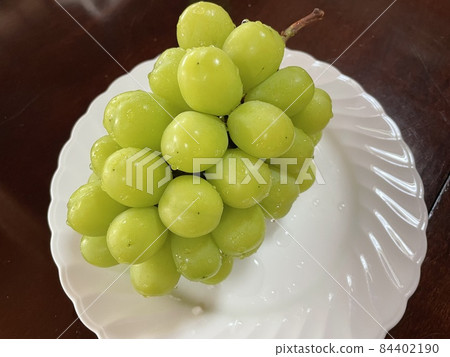 Luxury Fruit Shine Muscat Haruo 84402190