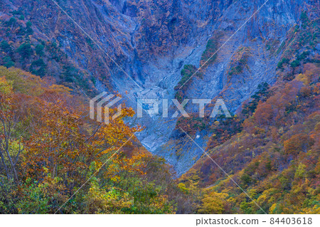 (群馬縣)谷川山 / 一倉澤 岩壁上的秋葉 (群馬縣)谷川山 / 一倉澤 岩壁上的秋葉 84403618