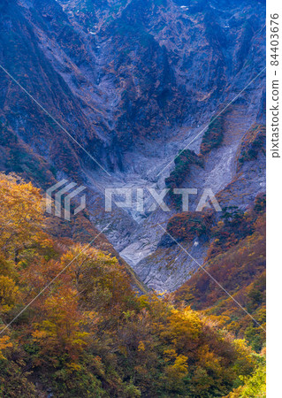 (群馬縣)谷川山 / 一倉澤 岩壁上的秋葉 (群馬縣)谷川山 / 一倉澤 岩壁上的秋葉 84403676