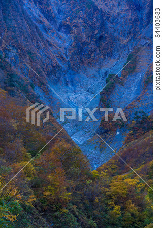 (群馬縣)谷川山 / 一倉澤 岩壁上的秋葉 (群馬縣)谷川山 / 一倉澤 岩壁上的秋葉 84403683