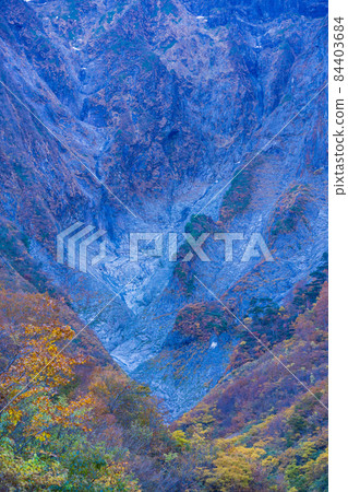 (群馬縣)谷川山 / 一倉澤 岩壁上的秋葉 (群馬縣)谷川山 / 一倉澤 岩壁上的秋葉 84403684