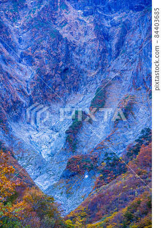 （群馬縣）谷川山 / 一倉澤 岩壁上的秋葉 84403685