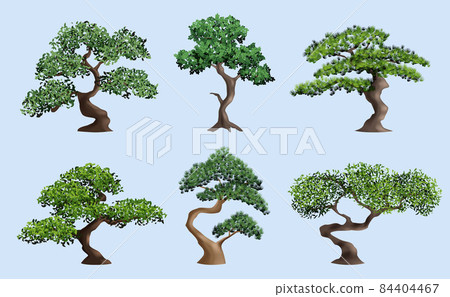 Bonsai tree. Decorative japanese authentic plants botanical elderly trees in pots decent vector realistic illustrations set isolated 84404467