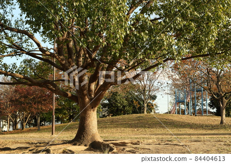 秋天黃昏公園風景 秋天黃昏公園風景 84404613