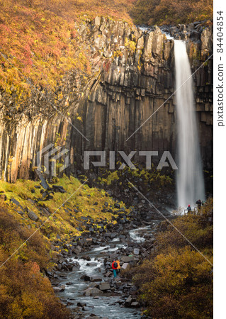 Svartifoss waterfall silk water with many tourists Svartifoss waterfall silk water with many tourists 84404854