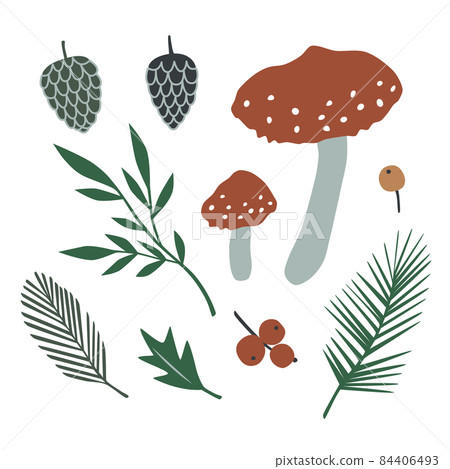 Vector collection with amanita mushrooms and forest plants Vector collection with amanita mushrooms and forest plants 84406493
