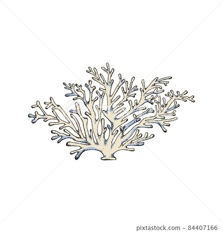 Tropical exotic ocean coral branch hand drawn vector illustration isolated. Tropical exotic ocean coral branch hand drawn vector illustration isolated. 84407166