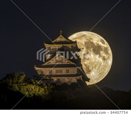 Gifu Castle and full moon Gifu Castle and full moon 84407754