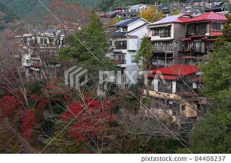 Scenery along the Mitake Gorge << Ome City >> 84408237
