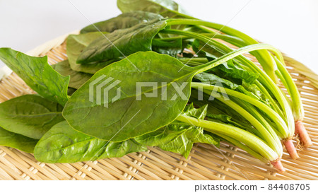 菠菜 菠菜 84408705