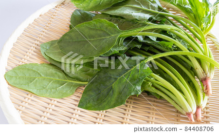 菠菜 菠菜 84408706