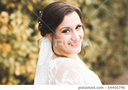 Beautiful luxury bride in elegant white dress Beautiful luxury bride in elegant white dress 84408746