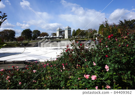Roses of Gunma Flower Park Roses of Gunma Flower Park 84409362