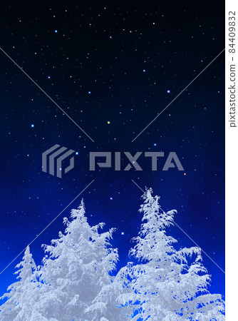 White fir trees with rime and natural scenery with a starry sky in the background 84409832