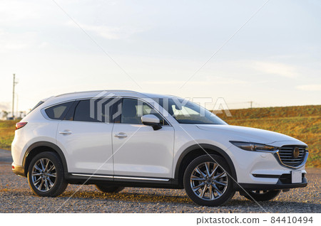 Car SUV Car SUV 84410494
