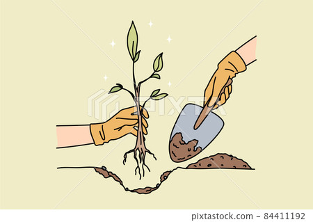 Person with shovel plant tree in ground Person with shovel plant tree in ground 84411192
