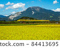 Doctor Yellow and Mt. Ibuki 84413695