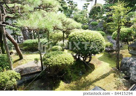走在北公路安藤家古老的綠色花園裡 走在北公路安藤家古老的綠色花園裡 84415294