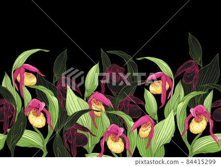 Lady's slipper orchid, Cypripedioideae, Seamless pattern, background. Vector illustration. 84415299