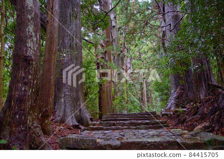 和歌山的熊野古道 和歌山的熊野古道 84415705