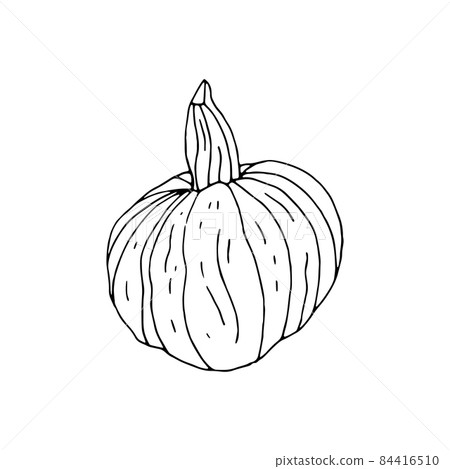 Hand drawn doodle monochrome pumpkin isolated on white 84416510