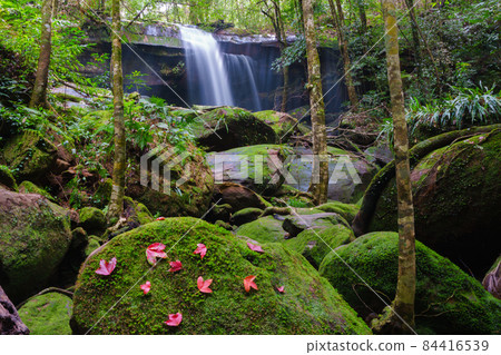 Waterfall at Phu Kradueng national park, Loei Thailand, beautiful landscape of waterfalls in rainforest Waterfall at Phu Kradueng national park, Loei Thailand, beautiful landscape of waterfalls in rainforest 84416539