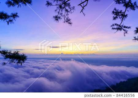 Mist in sunrise at Phu kradueng national park, at Loei province Thailand 84416556