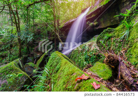 Waterfall at Phu Kradueng national park, Loei Thailand, beautiful landscape of waterfalls in rainforest 84416573