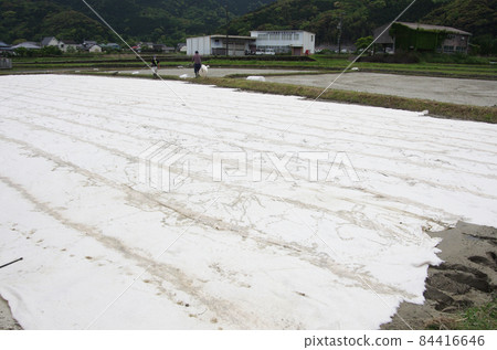 Rice farming cotton farming method 84416646