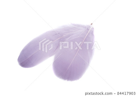 colored feathers isolated colored feathers isolated 84417903