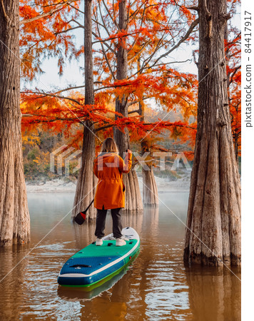 Woman on stand up paddle board at the lake with autumnal trees in early morning 84417917