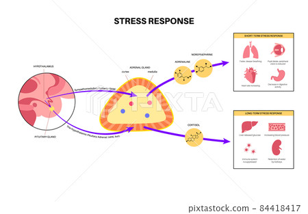 Stress responce system 84418417