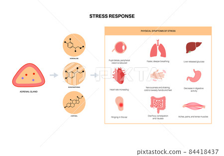 Stress responce system 84418437