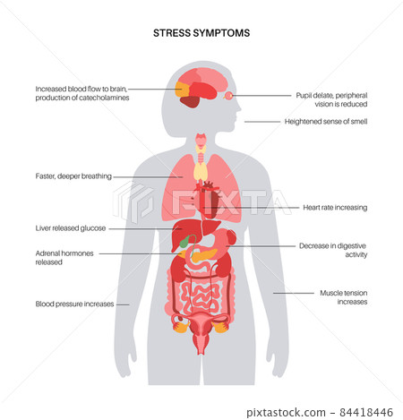 Stress responce system 84418446