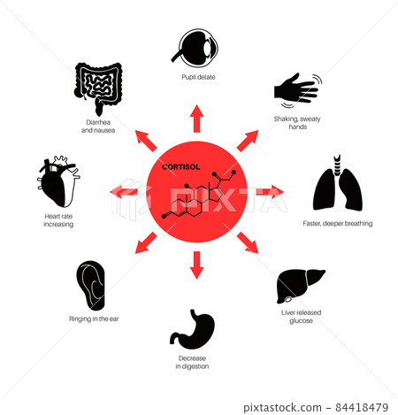Stress responce system Stress responce system 84418479
