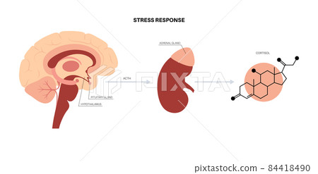 Stress responce system 84418490