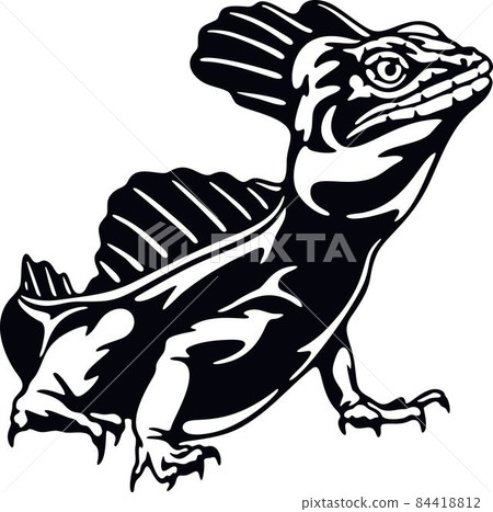 Iguana - Reptiles of the wild. Wildlife stencil. Pet and tropical animal. 84418812
