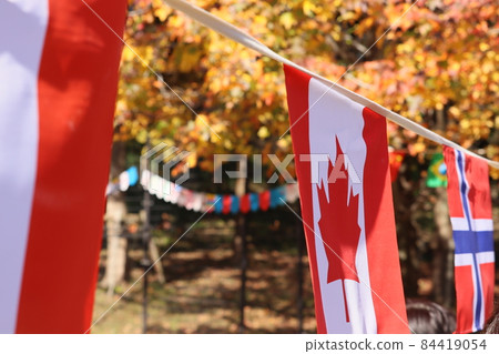 Canada 84419054