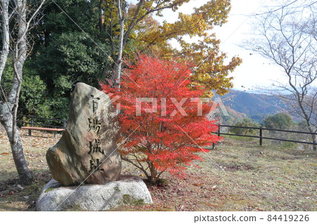 紅葉與城跡（愛知縣豐田市市馬城關） 84419226