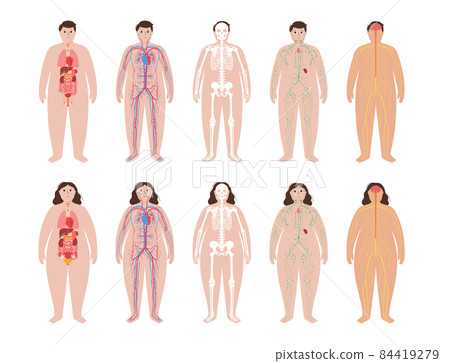 Human body systems 84419279