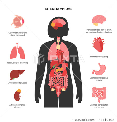 Stress responce system 84419308
