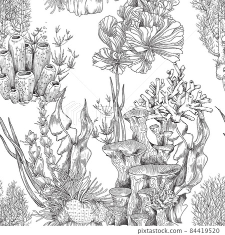 Endless seamless pattern with coral reef plants, vintage vector illustration. 84419520